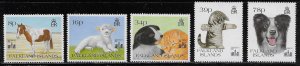 Falkland Islands Scott #'s 593 - 597 MNH