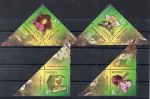 ROMANIA - 2017 - FLOWERS - WILD ORCHIDS -