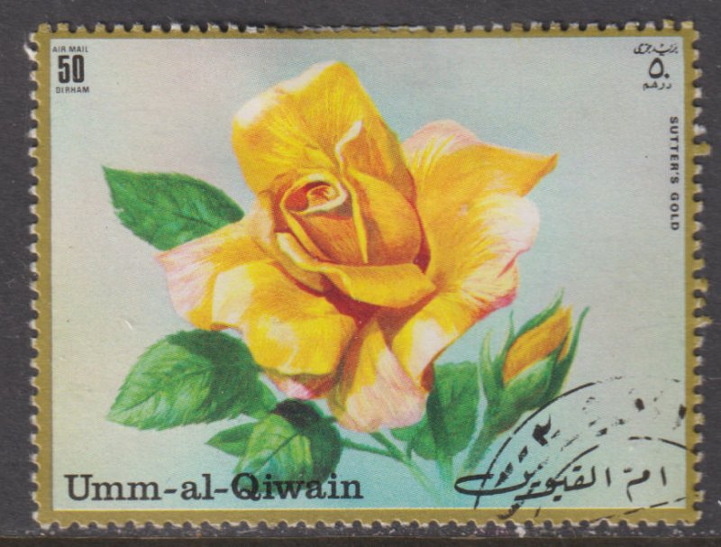 UAE Umm Al Qiwain Unlisted Sutter's Gold Rose 1971