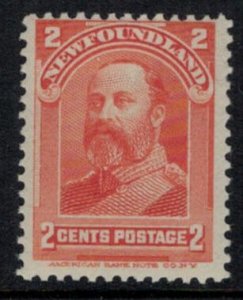 Newfoundland 1897 UN81 - 2-Cent KEVII - MNH