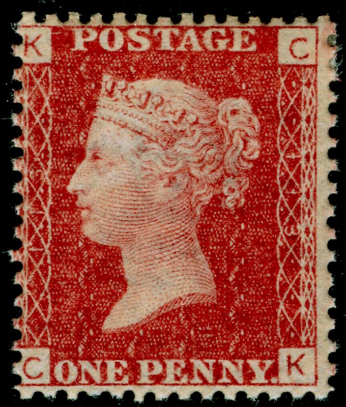 SG43, 1d rose-red plate 113, M MINT. Cat £70. CK