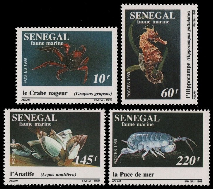 1989 Senegal 1041-1044 Sea fauna 6,00 €