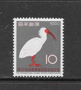 BIRDS - JAPAN #695 CRESTED IBIS MNH