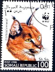 Wild Cat, Caracal Caracal, Somali stamp used