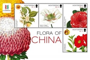 Montserrat - 2011 Flora of China - Sheet of 4 - MNH