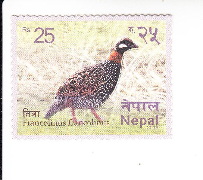 2016 Nepal Pheasant SA (Scott 1033) MNH