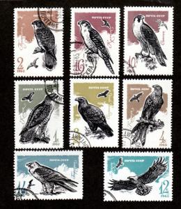 Russia # 3124-3131 Birds CTO NH!