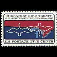 U.S.A. 1966 - Scott# 1306 Migratory Bird Treaty Set of 1 NH