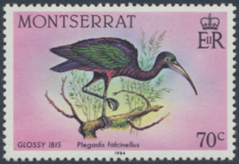 Montserrat  SC# 531 MNH   Birds  see details & scans