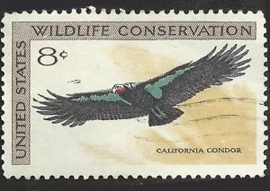 # 1430 USED CALIFORNIA CONDOR