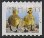 Canada 2011 fauna baby wildlife  Used    see details