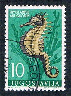 Yugoslavia 452 Used Sea Horse (BP1634)