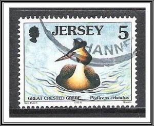 Jersey #826 Birds Used