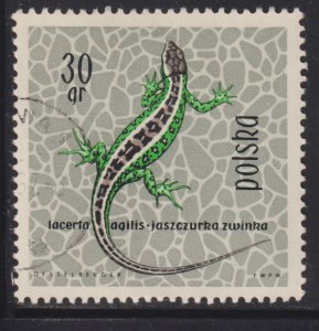 Poland 1134 Sand Lizard 1963