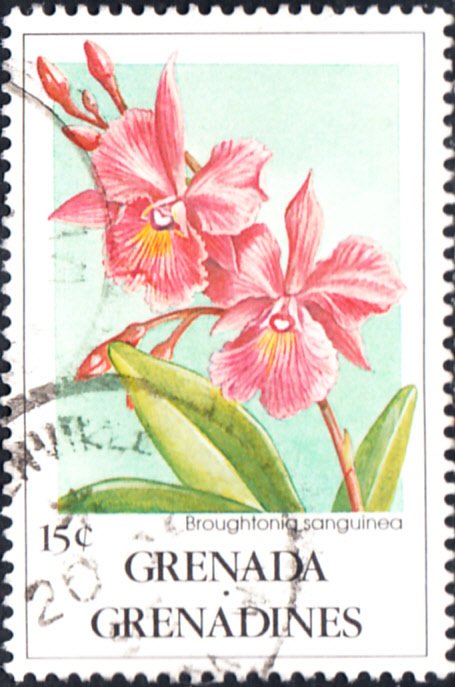 Grenada Grenadines #1287 Used