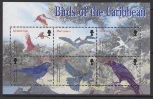 MONTSERRAT SGMS1246 2003 BIRDS OF THE CARIBBEAN MNH 