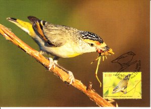 Australia 2013 Maxicard Sc #3924 $1.80 Red-browed pardalote 