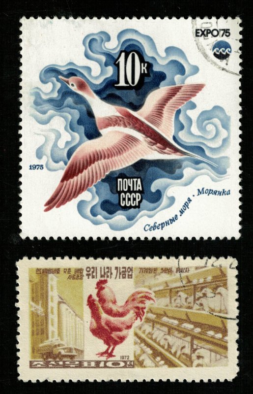 Birds, (3330-T)