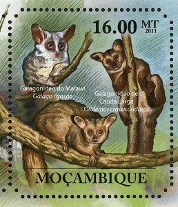 Primates Stamp Otolemur Crassicaudatus Papio Cynocephalus S/S MNH #5036-5041