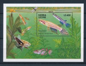 [48367] Sierra Leone 1991 Marine life Fish MNH Sheet