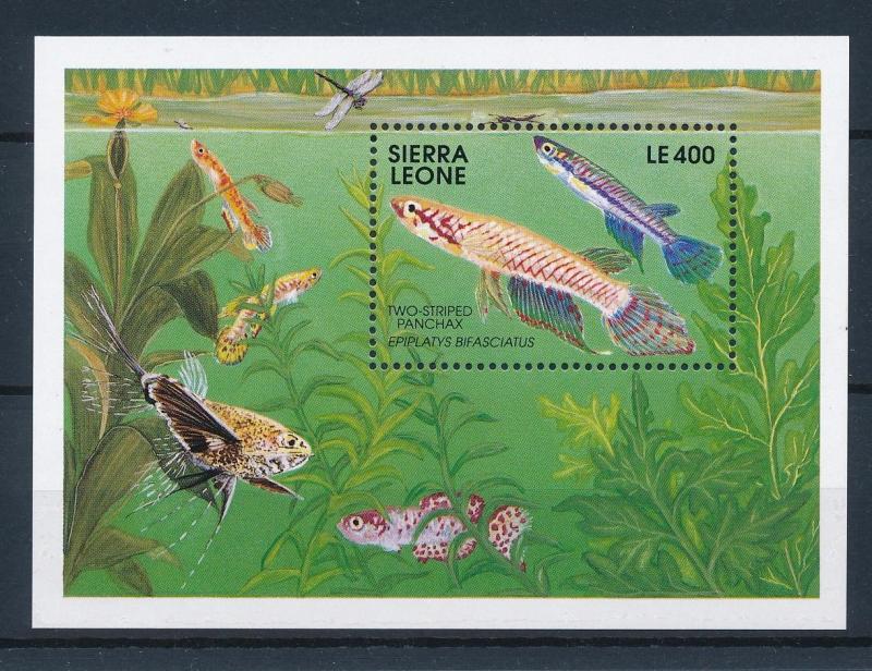 [48367] Sierra Leone 1991 Marine life Fish MNH Sheet