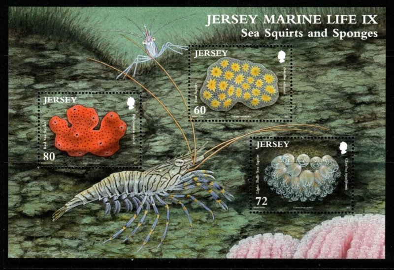 JERSEY SGMS1573 2011 MARINE LIFE MNH