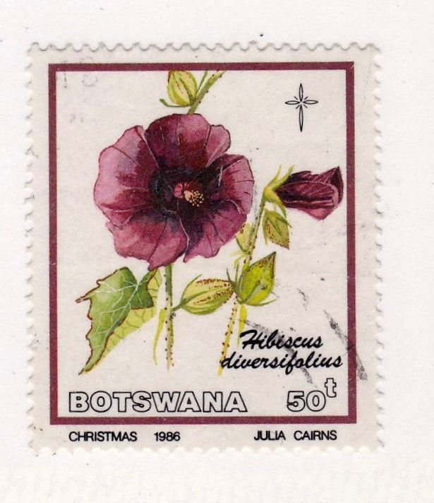 Botswana         392         used