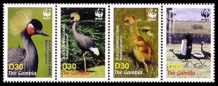 Gambia Birds WWF Black Crowned Crane Strip of 4v SG#4920-4923 MI#5631-5634