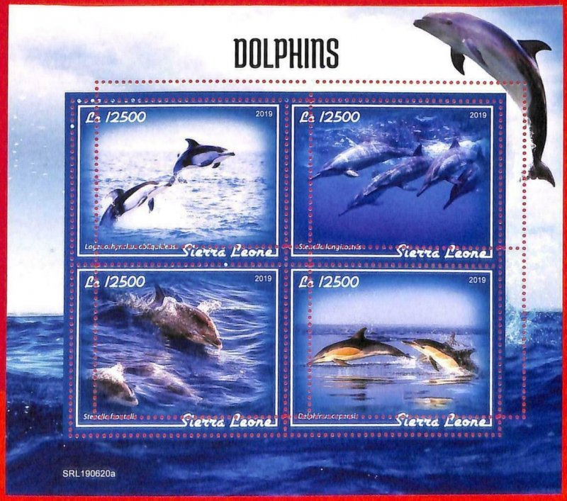 A4586 - SIERRA LEONE - ERROR MIPERF block: 2019 dolphins, marine life-