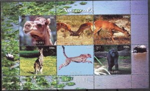 Malawi 2012 Animals Monkeys antelopes Kangaroos Camels Cheetah MNH Cinderella !