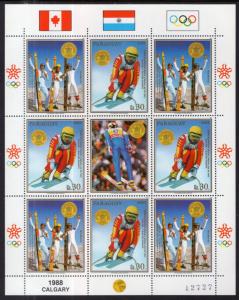 Paraguay C748 Winter Olympics Sheet MNH VF