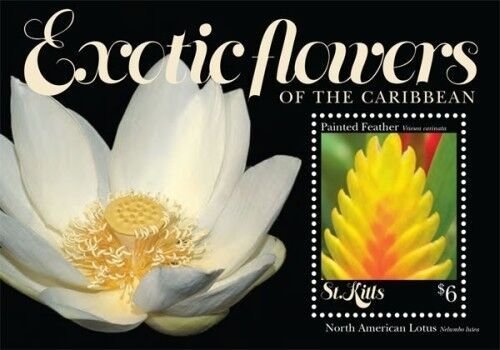 SAINT KITTS 2011 - EXOTIC FLOWERS OF THE CARIBBEAN STAMP SOUVENIR SHEET (#2) MNH