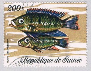 Guinea 581 Used Fish 1 1971 (BP4855)