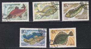 Russia # 5164-5168, Food Fish, Used, 1/2 Cat.