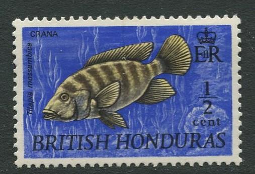 British Honduras.- Scott 234 - QEII Definitives -1969 - Mint -Single 1/2c Stamp