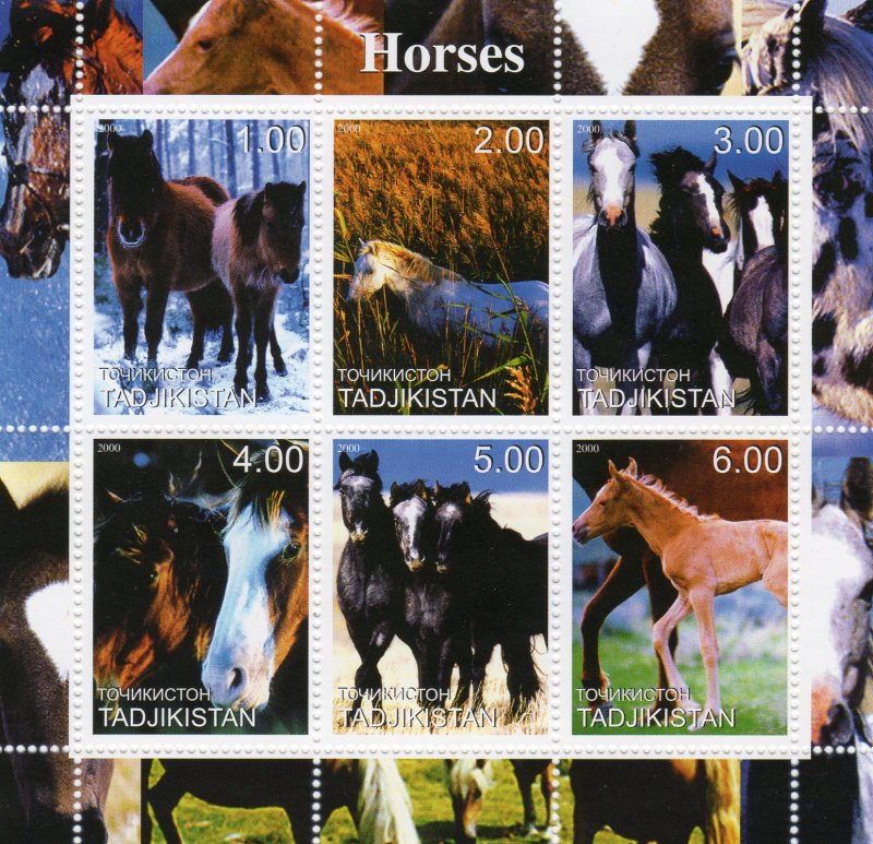 Tajikistan 2000  HORSES - MAMMALS - Sheetlet (6) MNH