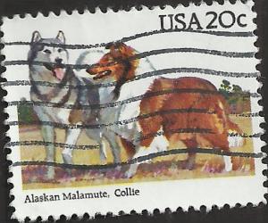 # 2100 USED ALSKAN MALAMUTE AND COLLIE