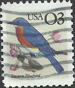 # 2478 USED EASTERN BLUEBIRD    