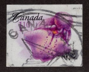 Used 2199 1.10 The Marsh Skullcap