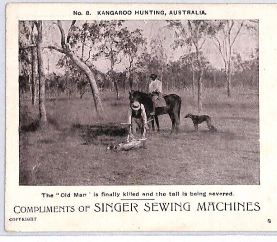 AUSTRALIA Unused Postcard *KANGAROO HUNTING* Singer Sewing Machine Advert PJ171