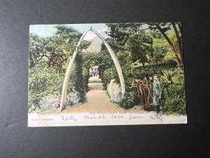 1905 British Gibraltar Postcard Cover Plymouth to Terramara NSW Australia