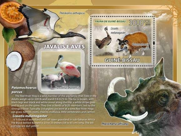 Guinea-Bissau - Boars & Birds  Stamp S/S - GB8210b