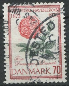 Denmark Sc#521 Used, 70o dk red, rose & grn, Flora 1973 (1973)