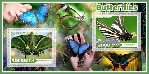 Stamps. Insects. Butterflies 2021 year 1+1 sheets perforated  Guinea-Bissau