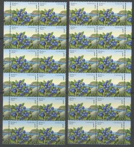 CANADA Sc#1349 1992 1c Blueberry Wholesale Lot of 84in Large Blocks OG Mint NH