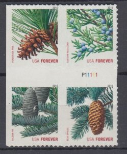 (F) ​USA Sc#4482-85 Holiday Evergreens  Block of 4  from ATM Booklet MNH