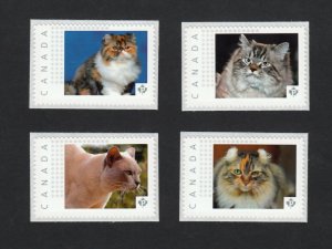 DOMESTIC CATS = BURMESE HIMALAYAN = Picture Postage MNH Canada 2015 [p15/8dct4]
