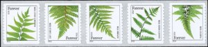 2014 49c Ferns, Strip of 5, Fortune's Holly, Painted Scott 4874-4878 Mint VF NH