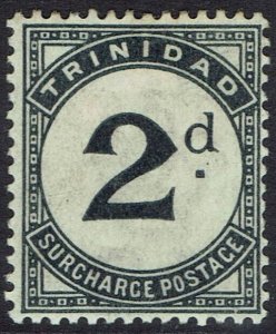 TRINIDAD 1885 POSTAGE DUE 2D WMK CROWN CA