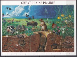 3506 Great Plains Prairie MNH